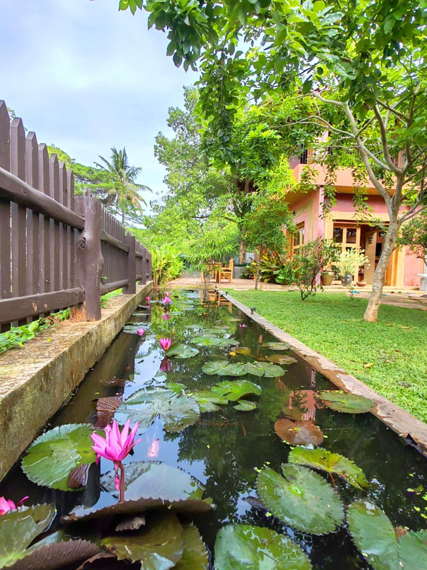 Art Yala Boutique Resort 티사마하라마 외부 사진