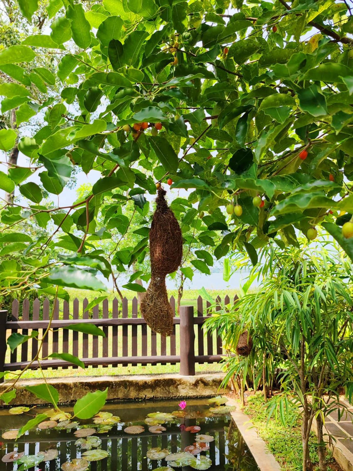 Art Yala Boutique Resort 티사마하라마 외부 사진