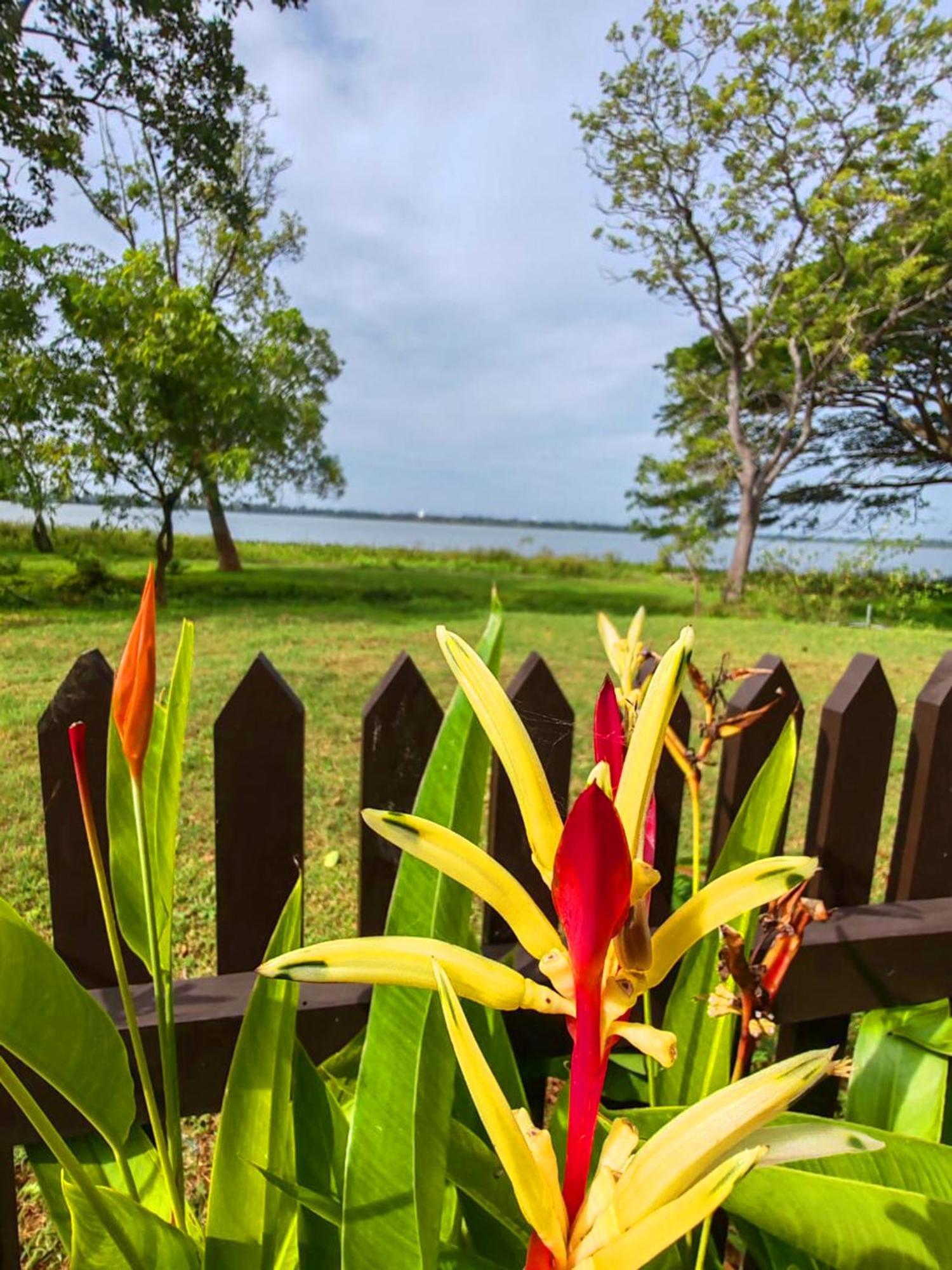 Art Yala Boutique Resort 티사마하라마 외부 사진