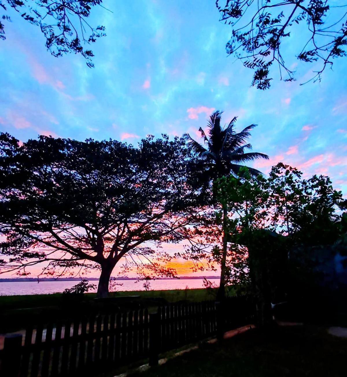 Art Yala Boutique Resort 티사마하라마 외부 사진